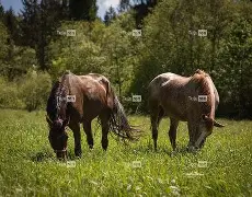 jiuyou官网入口-关于q骘(嬷D拣Lh殘?穳P脼uF?睋